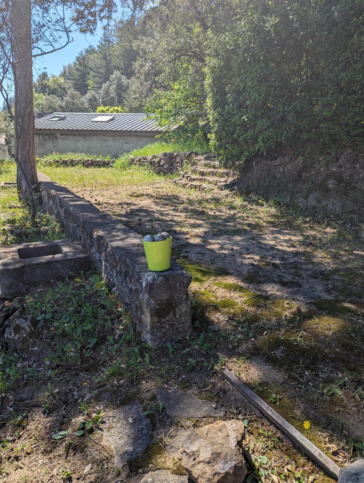 Auberge Des Pins Aubenas Zewnętrze zdjęcie